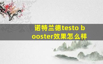 诺特兰德testo booster效果怎么样